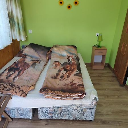 Iza-Pokoje Do Wynajecia Wisełka Εξωτερικό φωτογραφία